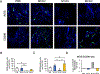 Figure 7: