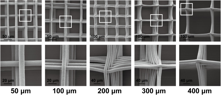 FIGURE 2