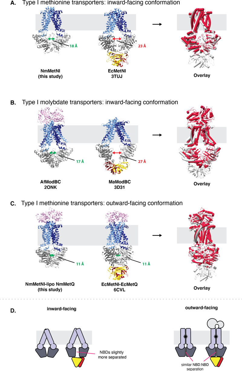 Figure 4—figure supplement 2.