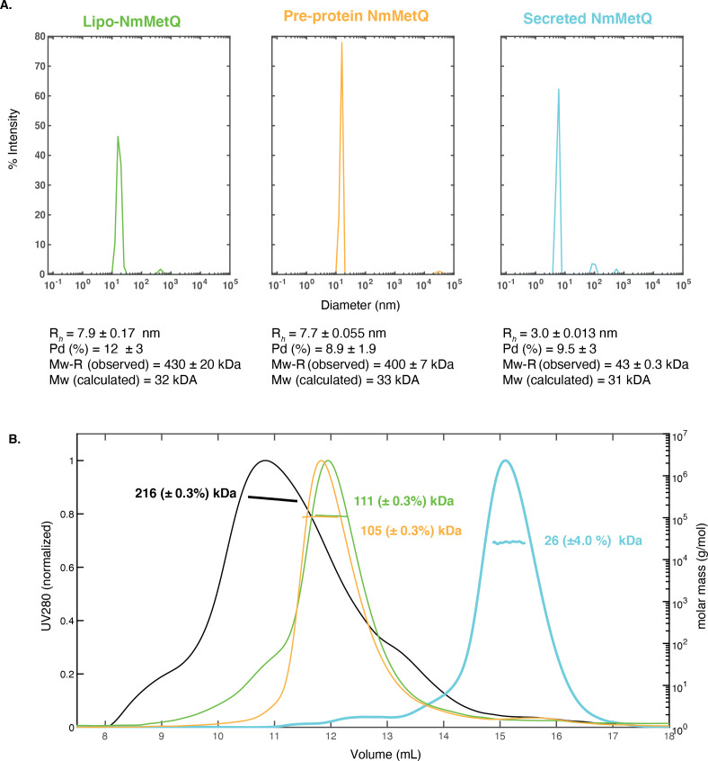 Figure 1—figure supplement 1.