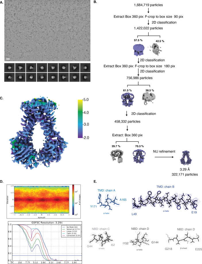 Figure 4—figure supplement 1.