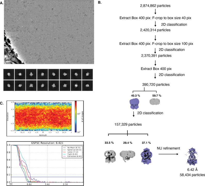 Figure 4—figure supplement 3.