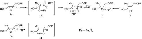 graphic file with name pnas.1000264107figX4.jpg