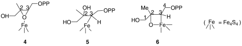 graphic file with name pnas.1000264107figX3.jpg