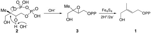 graphic file with name pnas.1000264107figX2.jpg