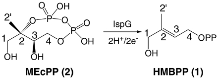 graphic file with name pnas.1000264107figX1.jpg