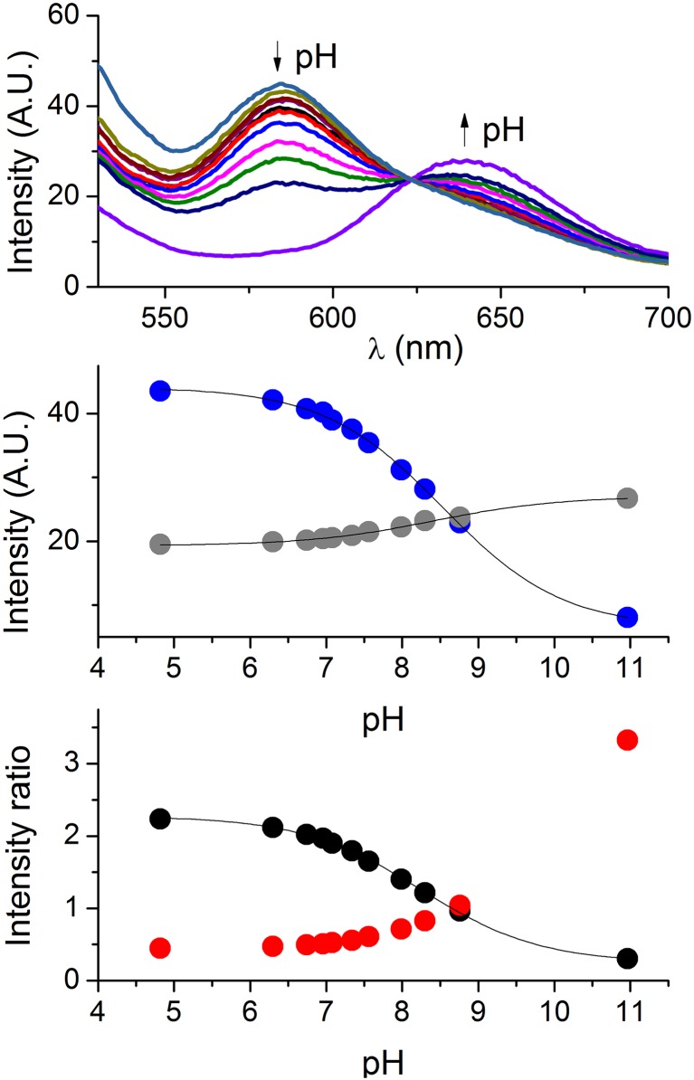 Fig 3