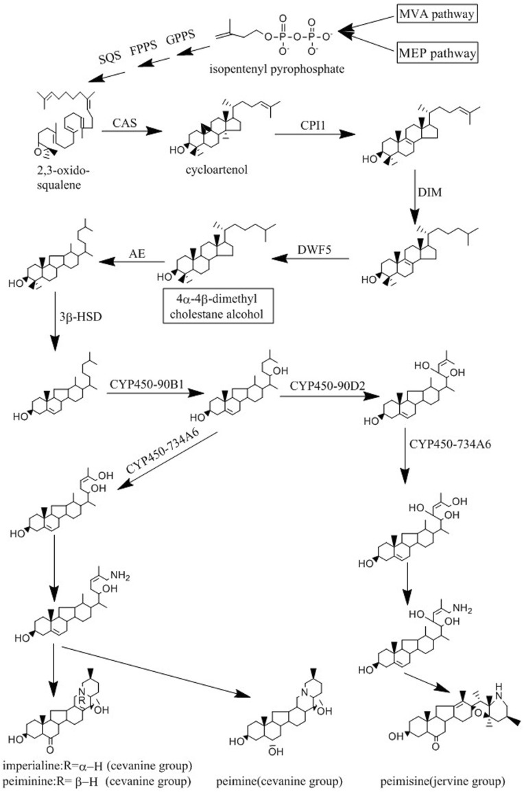 Fig. 4