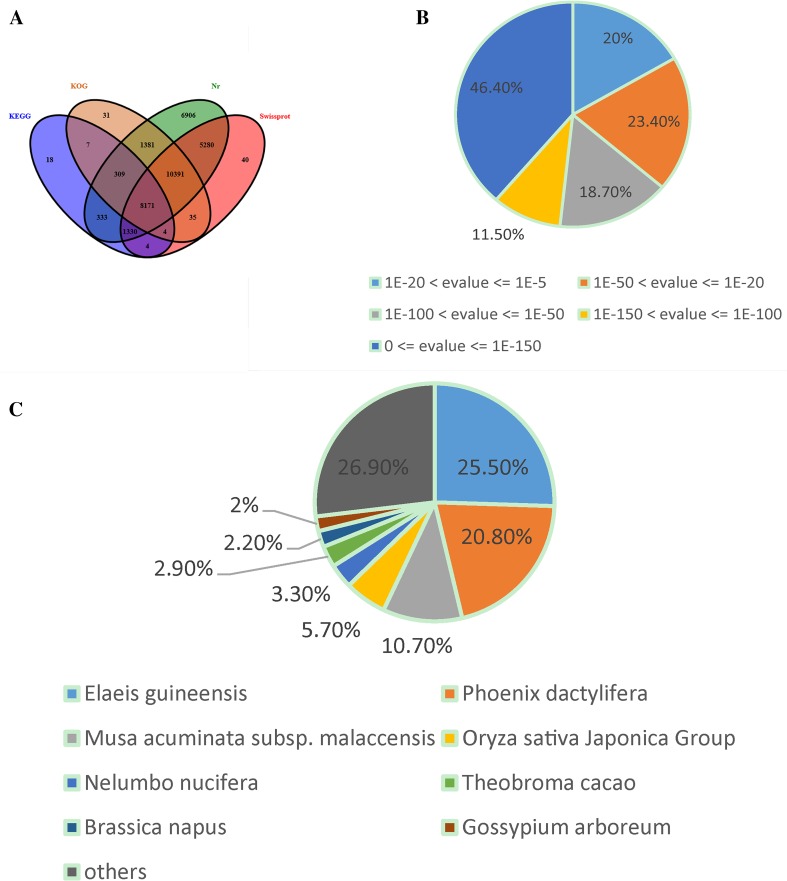 Fig. 3