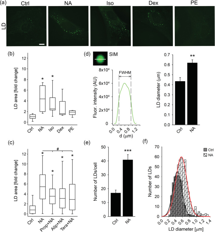 FIGURE 6