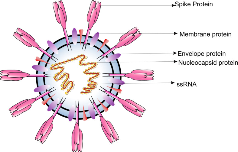 Figure 1