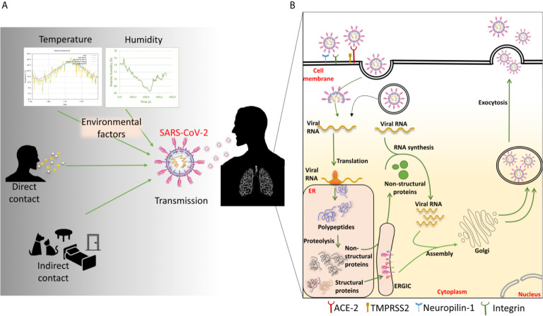 Figure 4