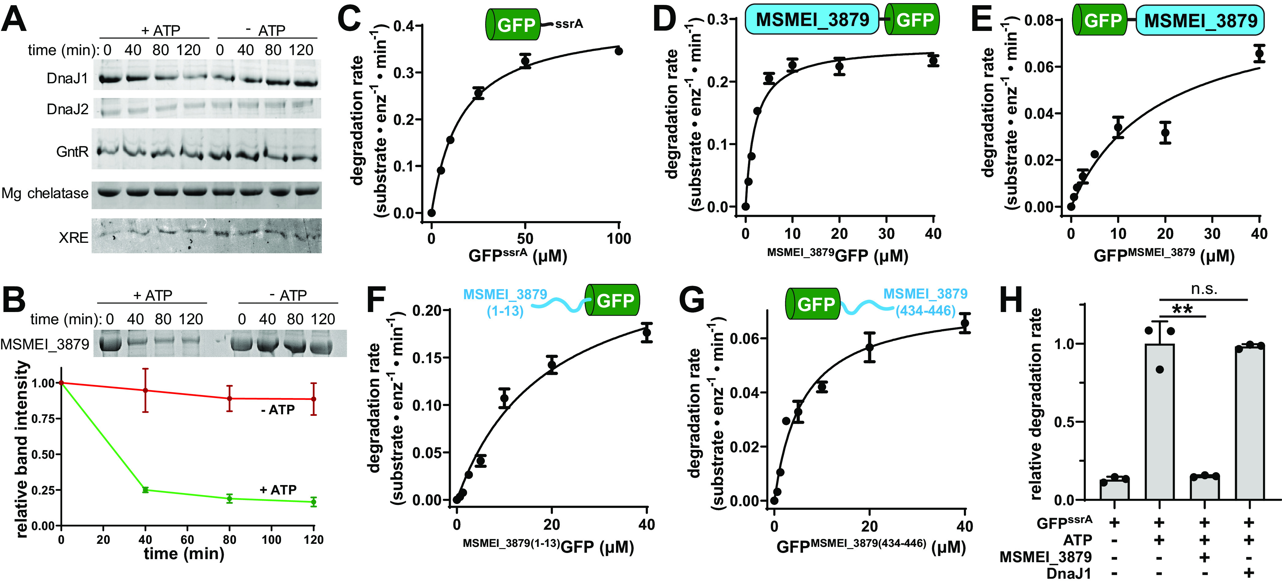 FIG 7