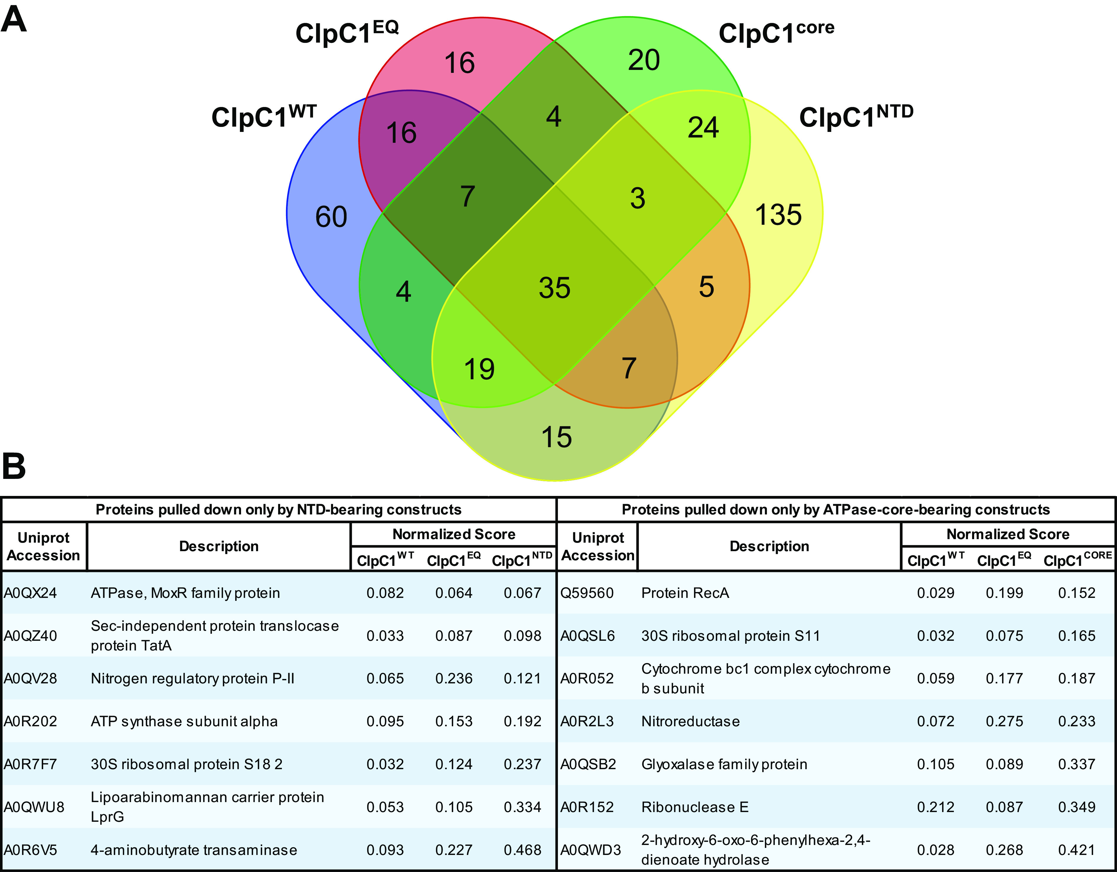 FIG 4