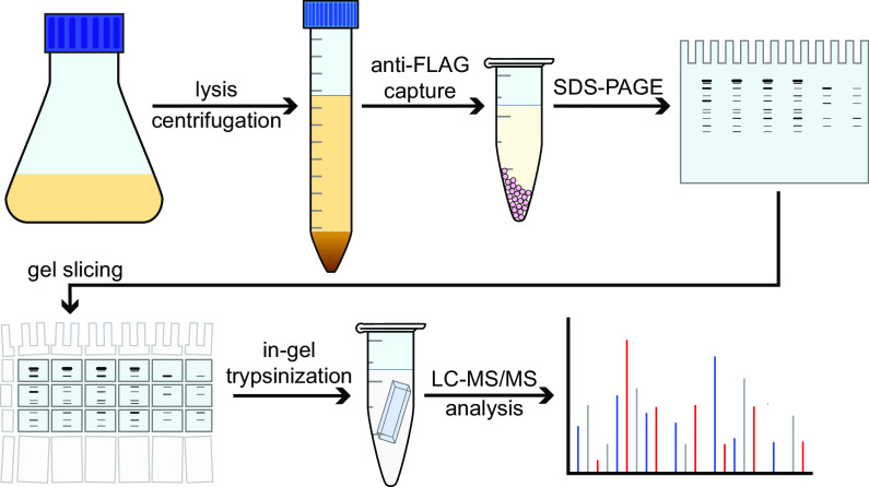 FIG 2