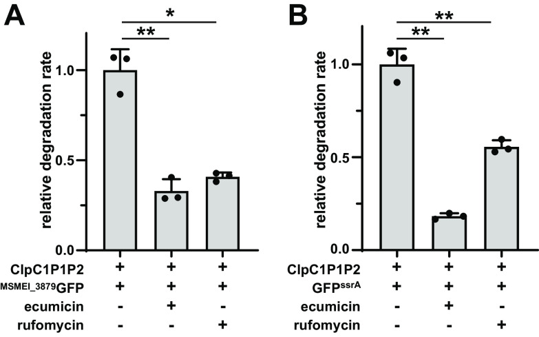 FIG 8