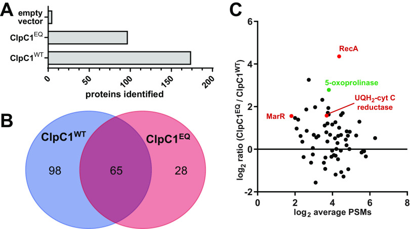 FIG 3