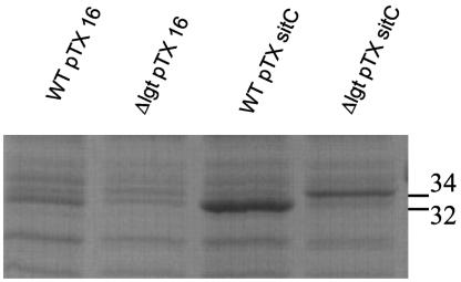 FIG. 5.