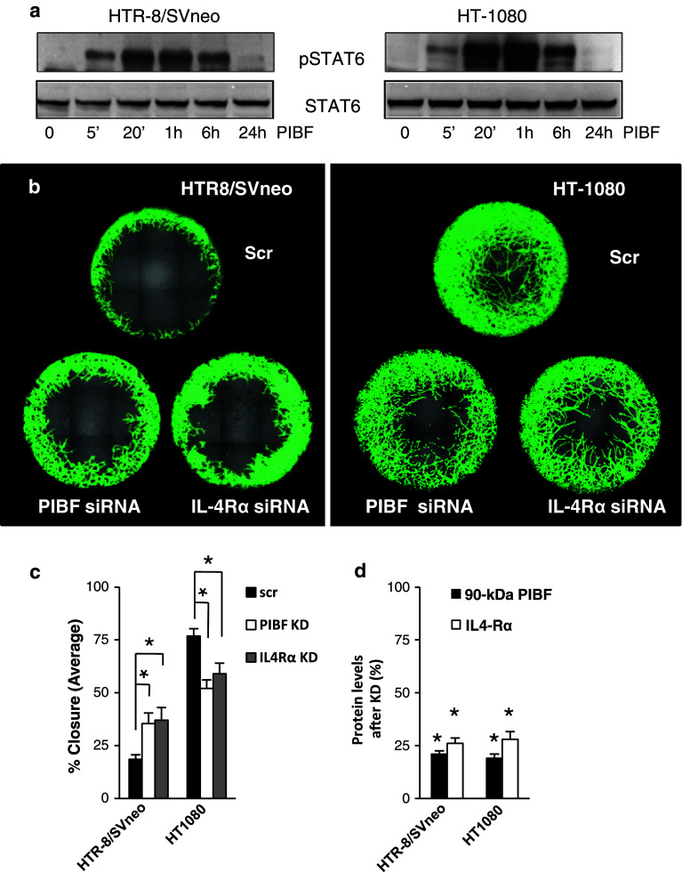 Fig. 4