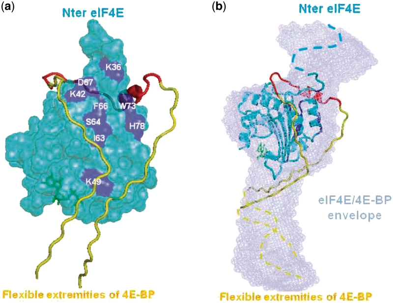 Figure 3.