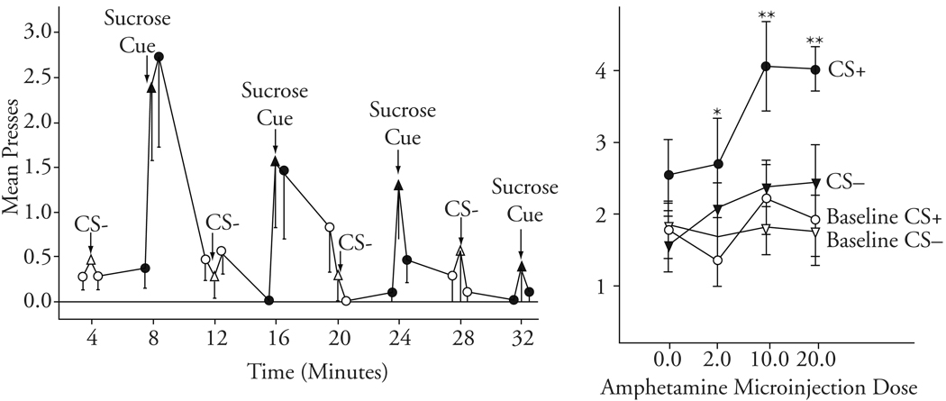 Fig. 24.2