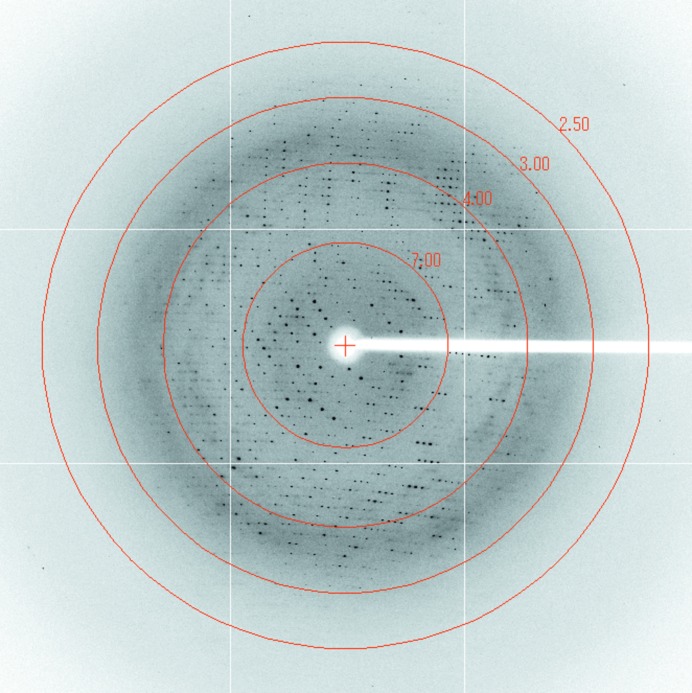 Figure 2