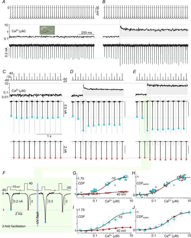 Figure 10