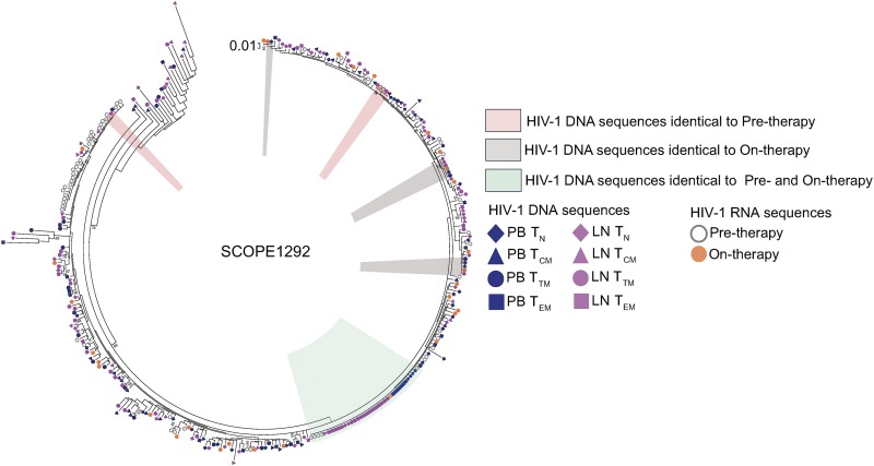 FIG 13