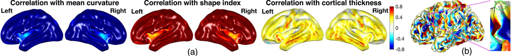 Fig. 14.