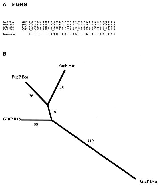 FIG. 7