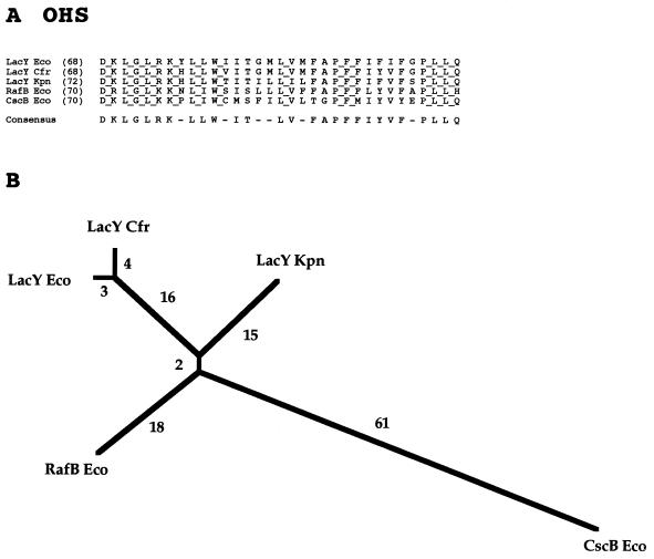 FIG. 5