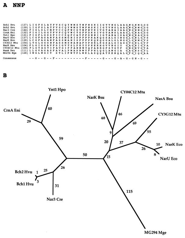 FIG. 8