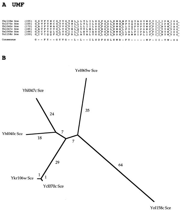 FIG. 16