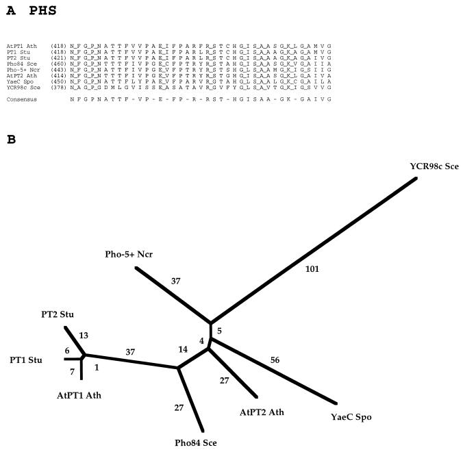 FIG. 9