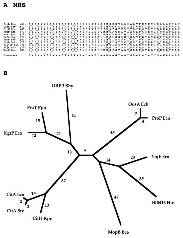 FIG. 6