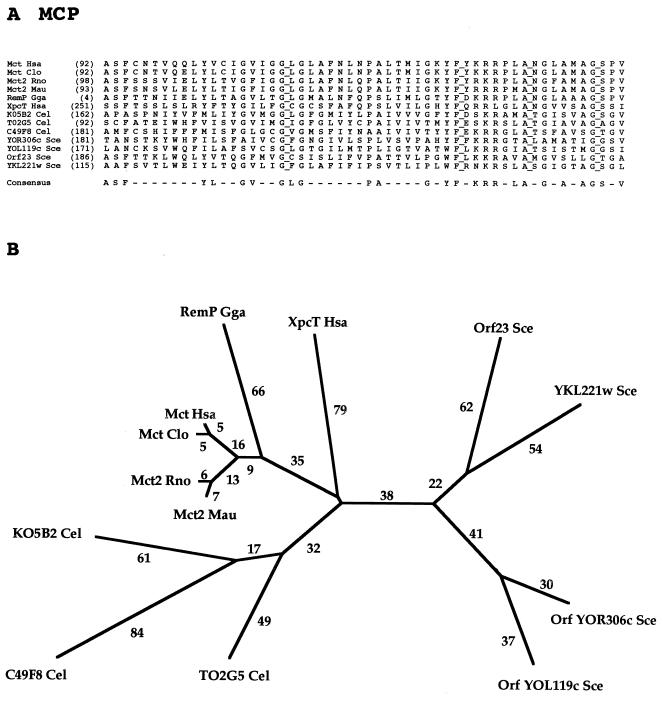 FIG. 13