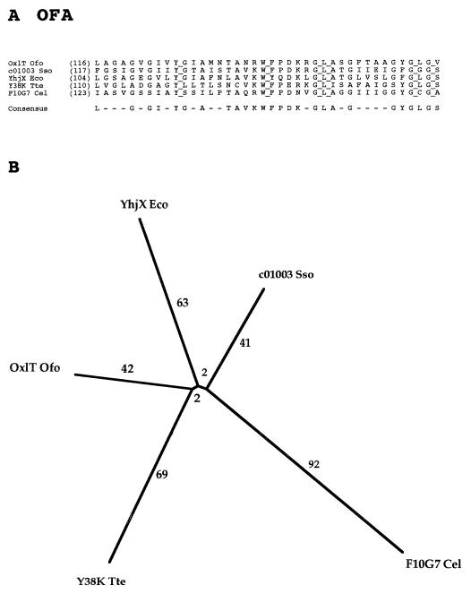 FIG. 11