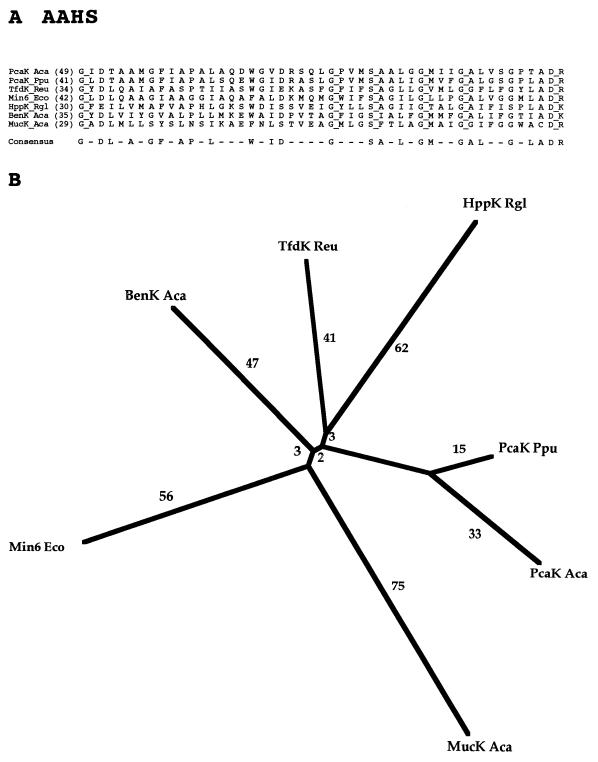 FIG. 15