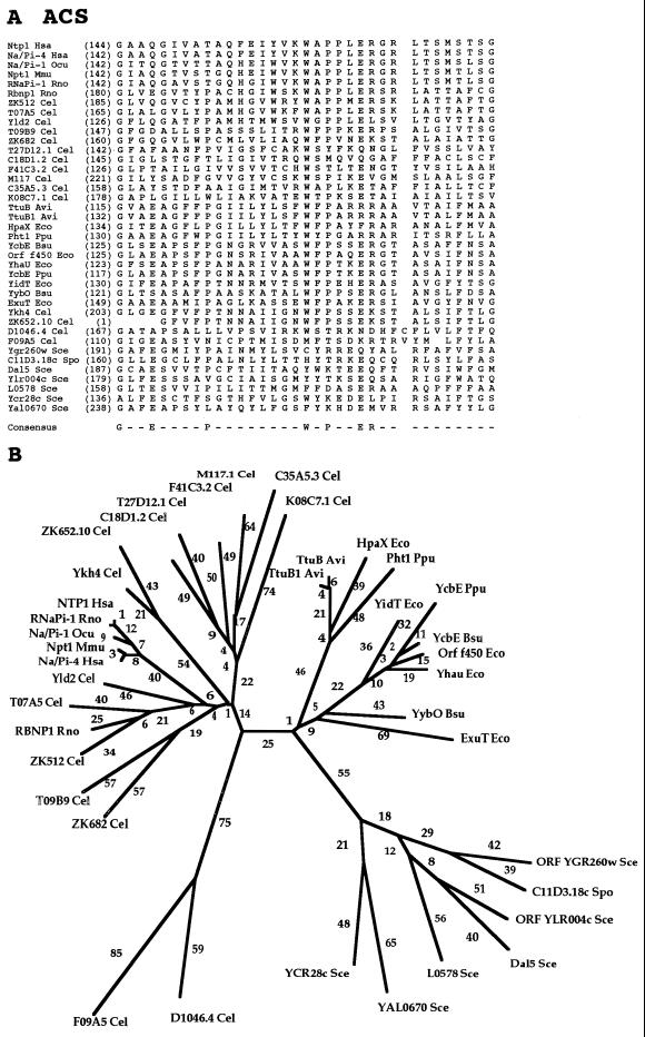 FIG. 14