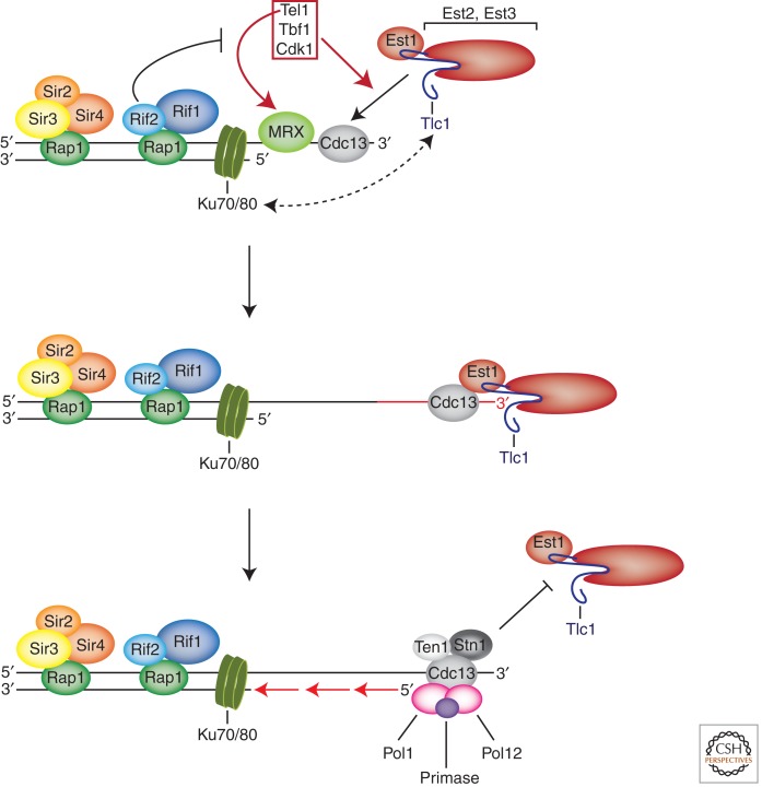 Figure 3.