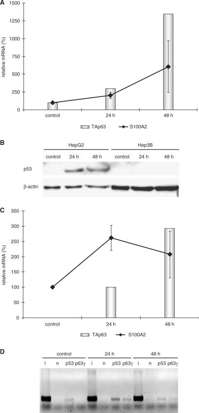 Figure 6.