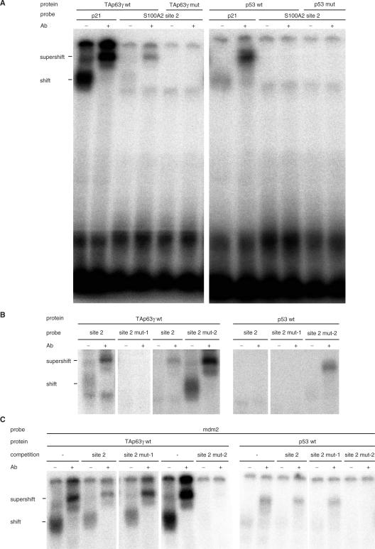 Figure 3.