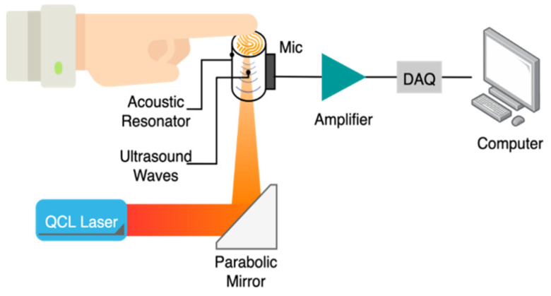 Figure 12