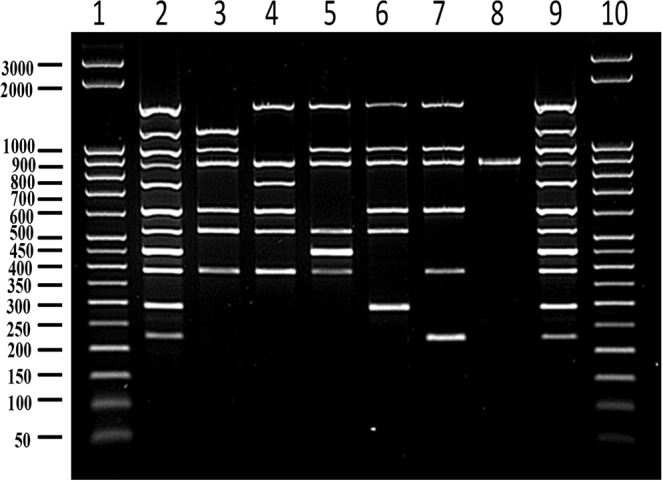 Figure 5