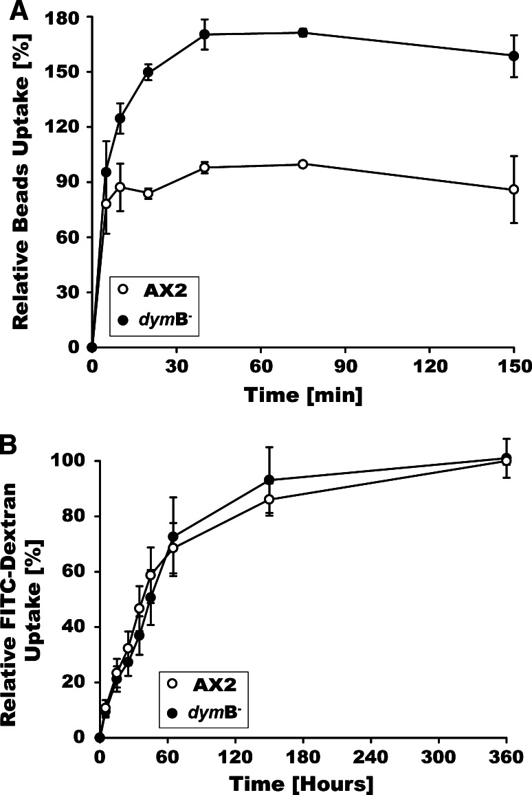 Fig. 5