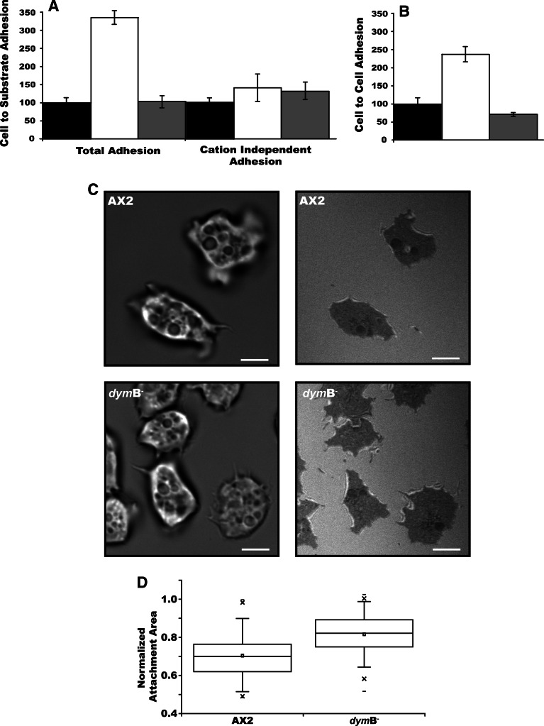 Fig. 7