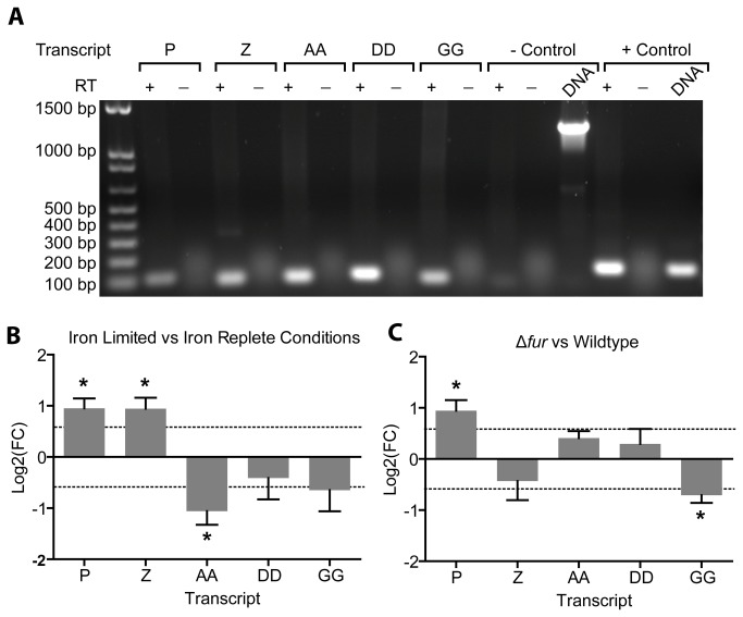 Figure 5