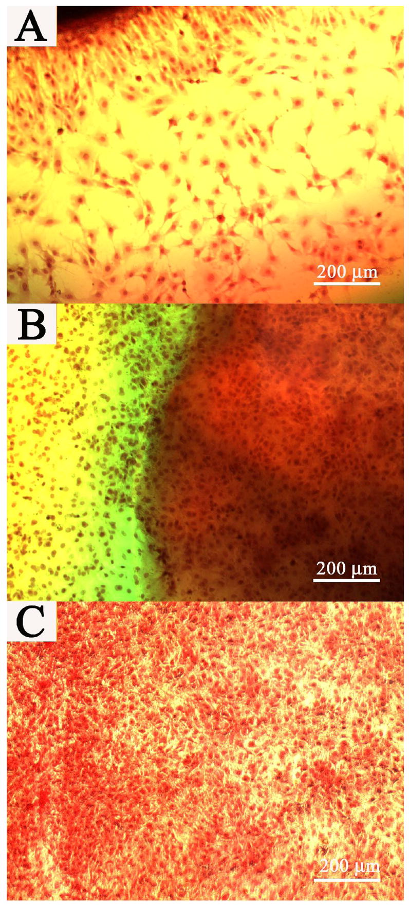 Fig. 9