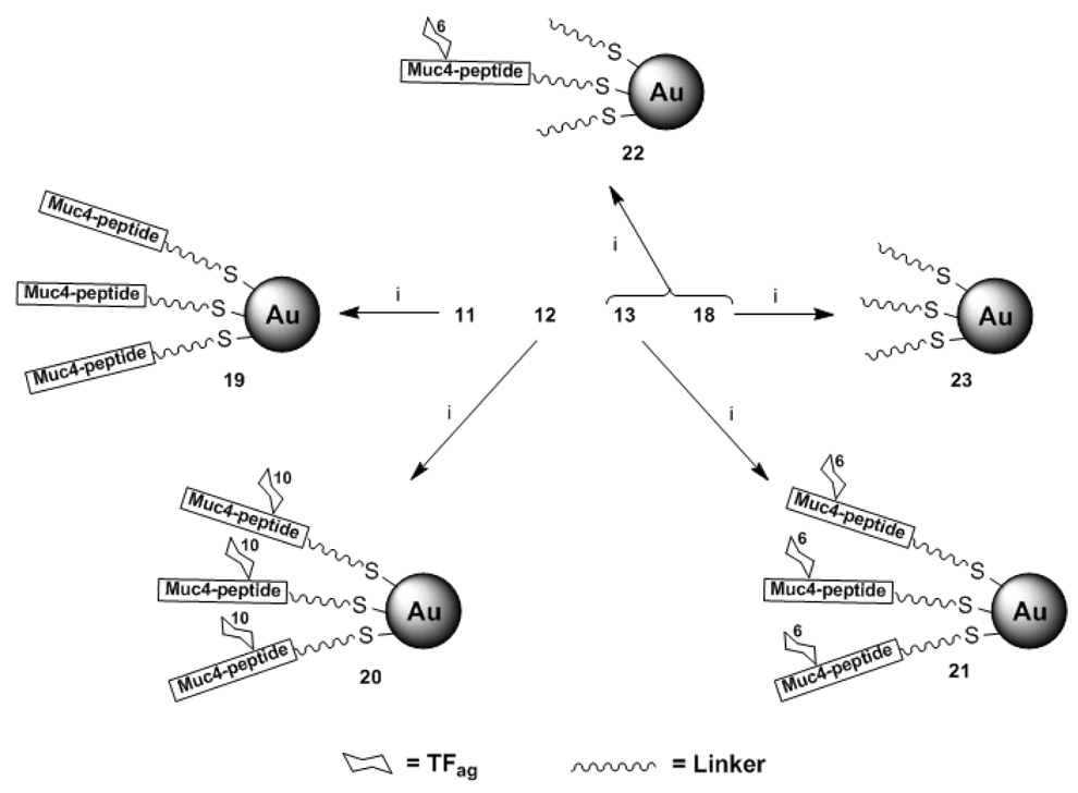 Scheme 3