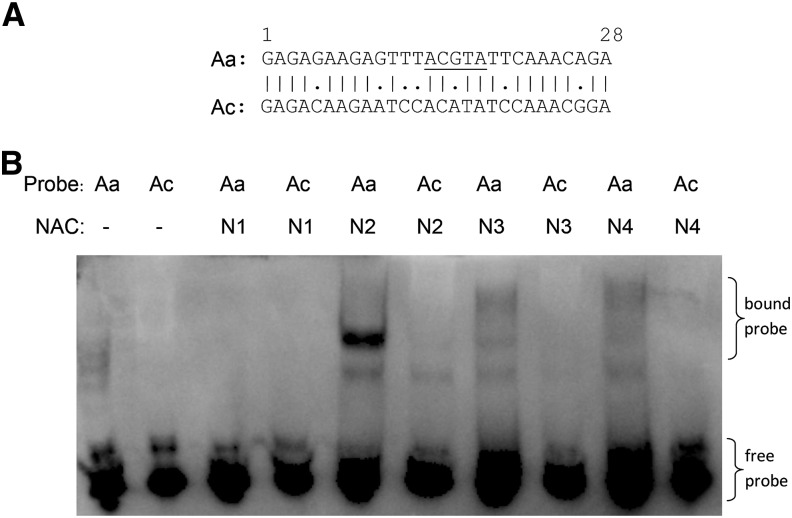 Figure 10.